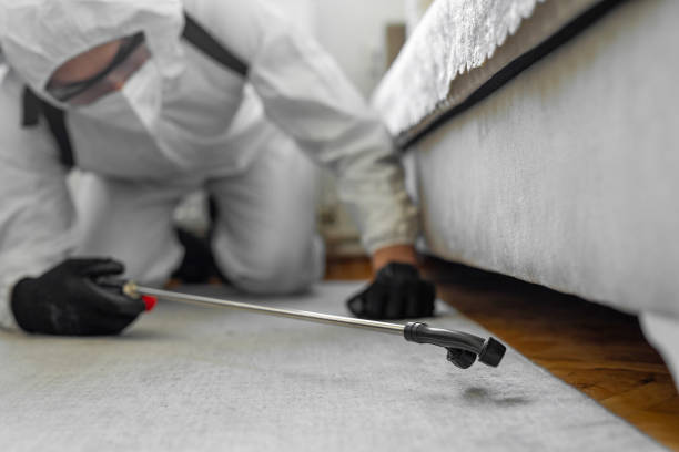 Professional Bed Bug Control technician working in Brookfield Center, OH