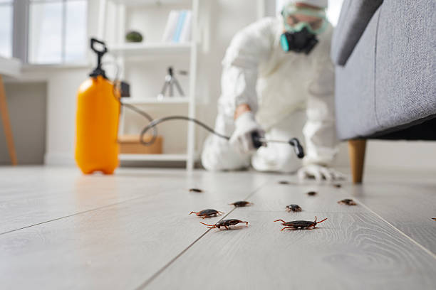 Trusted Fumigation Services service in Brookfield Center, OH - Nex Pest Control