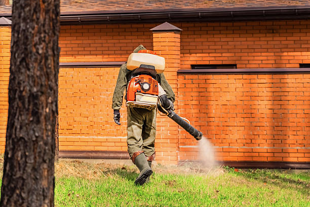 Trusted Bed Bug Control service in Brookfield Center, OH - Nex Pest Control